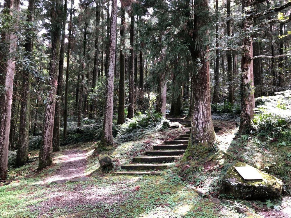 东眼山国家森林游乐区
