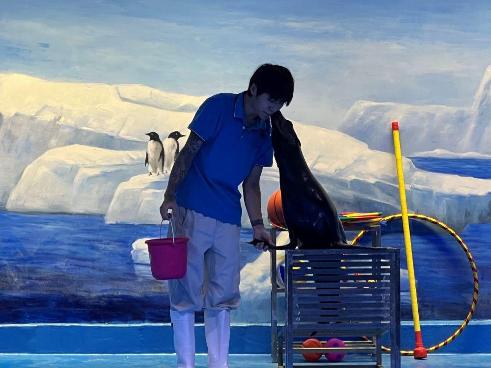 海底世界(苏州乐园馆)