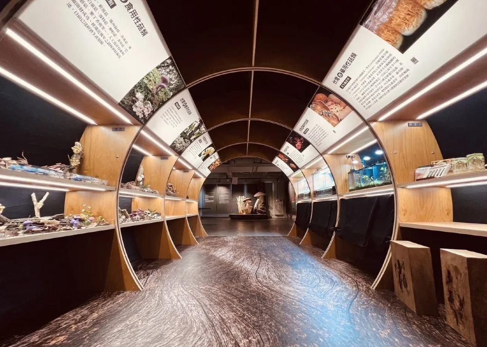 雾峰菇类产学馆