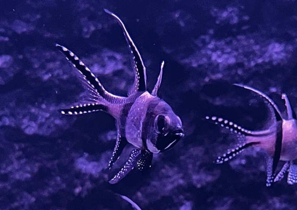 野柳海洋世界