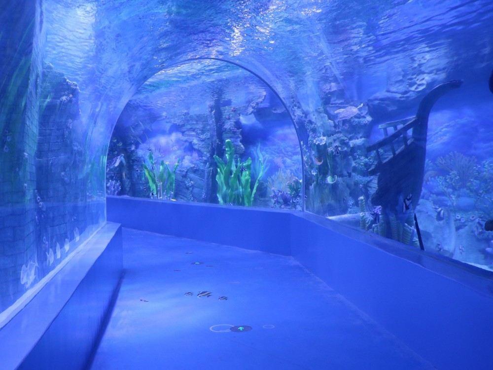 海底世界(苏州乐园馆)