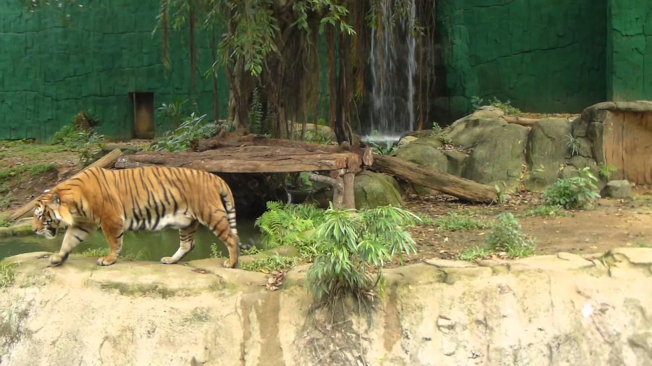马六甲动物园