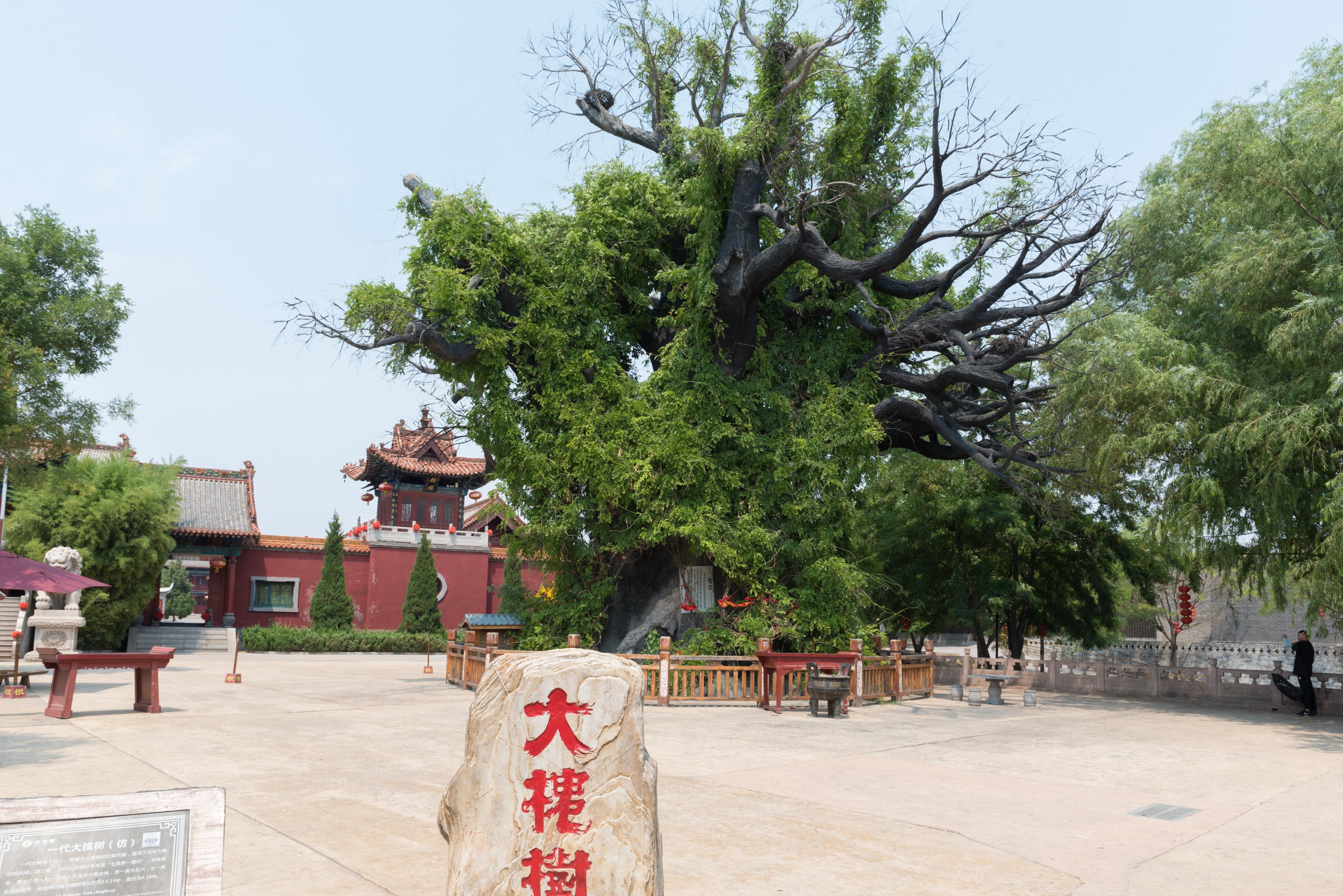 洪洞大槐树寻根祭祖园