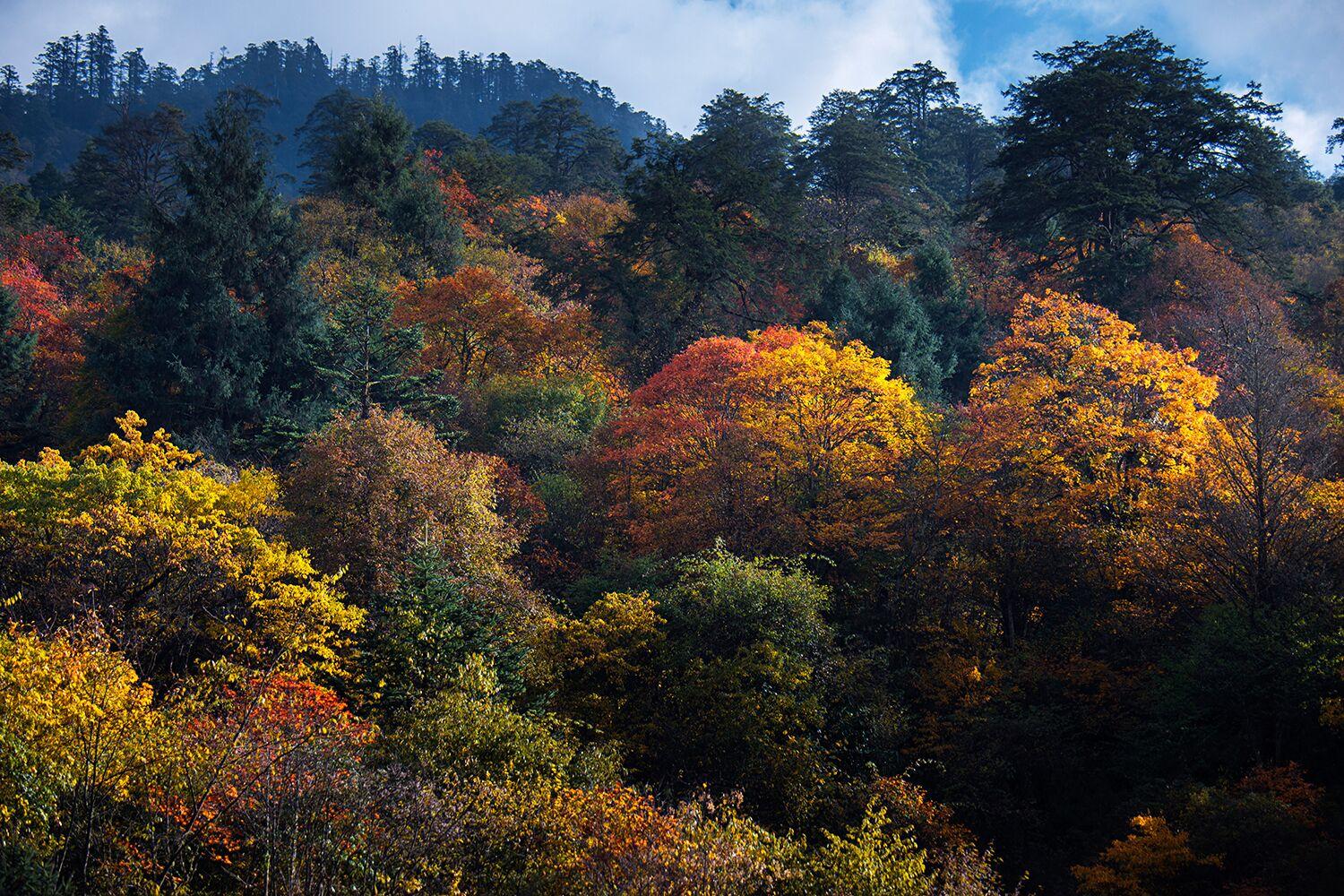 二郎山喇叭河风景区