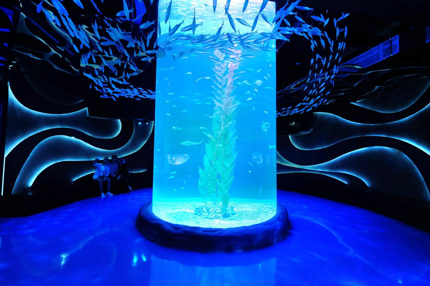 雅加达多媒体水族馆