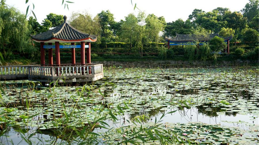 古今花海