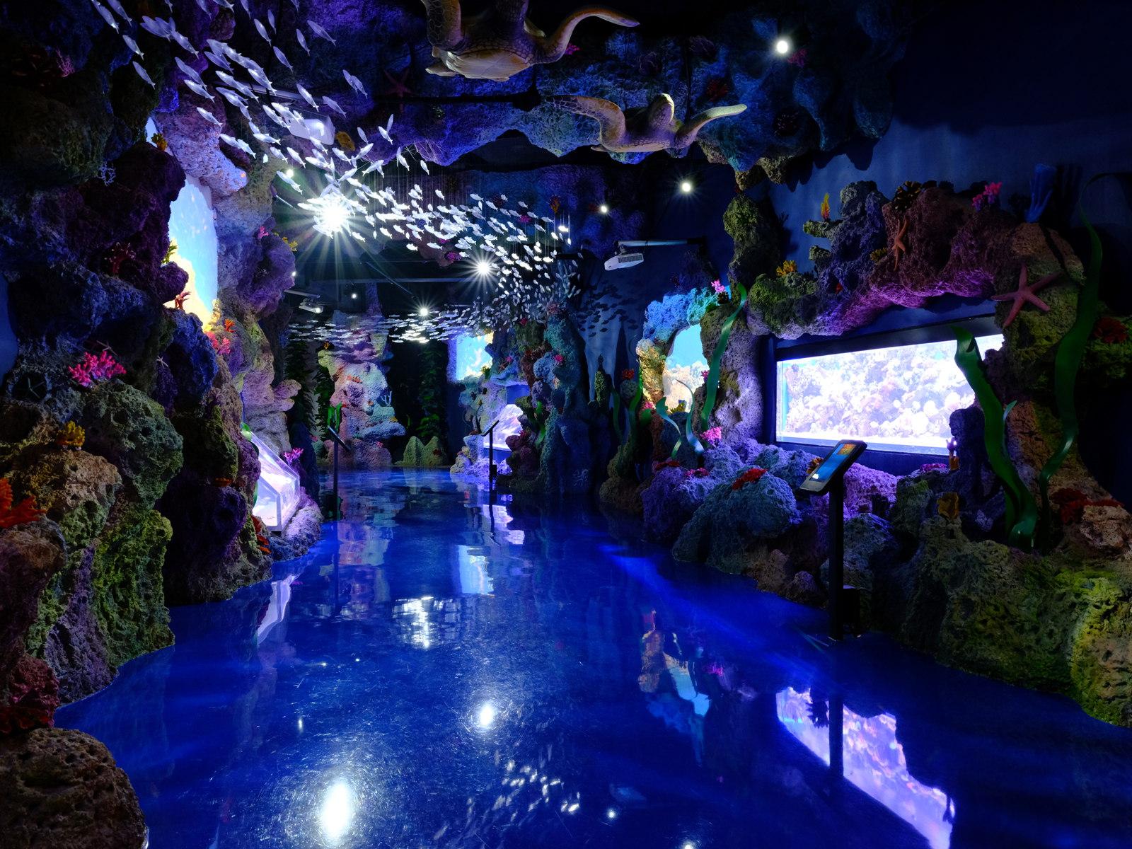 雅加达多媒体水族馆