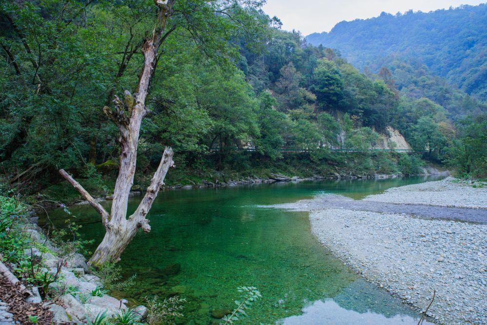 阳坝自然风景区