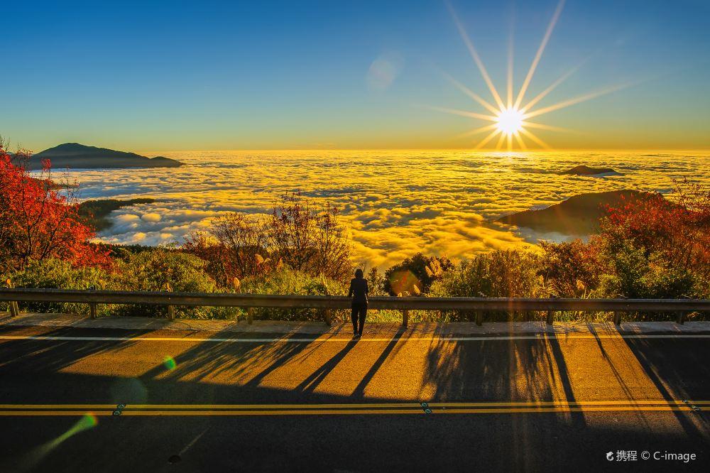 阿里山国家风景区