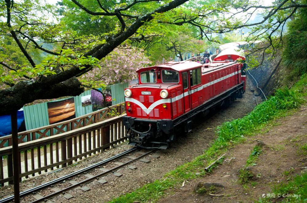 阿里山国家森林游乐区