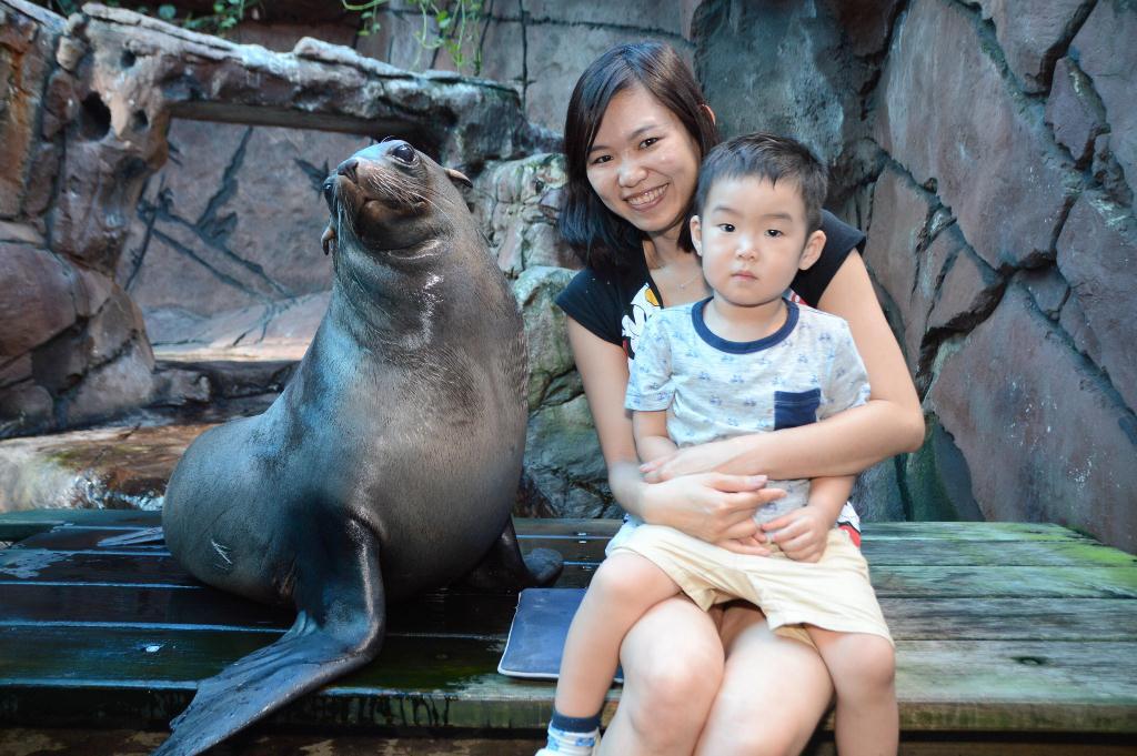 阳光海岸水族馆