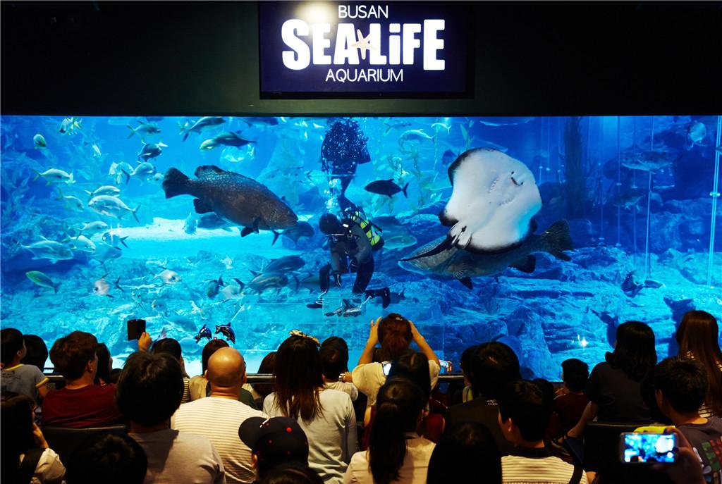 釜山SEA LIFE水族馆