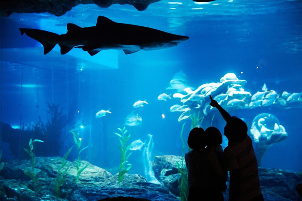 釜山SEA LIFE水族馆