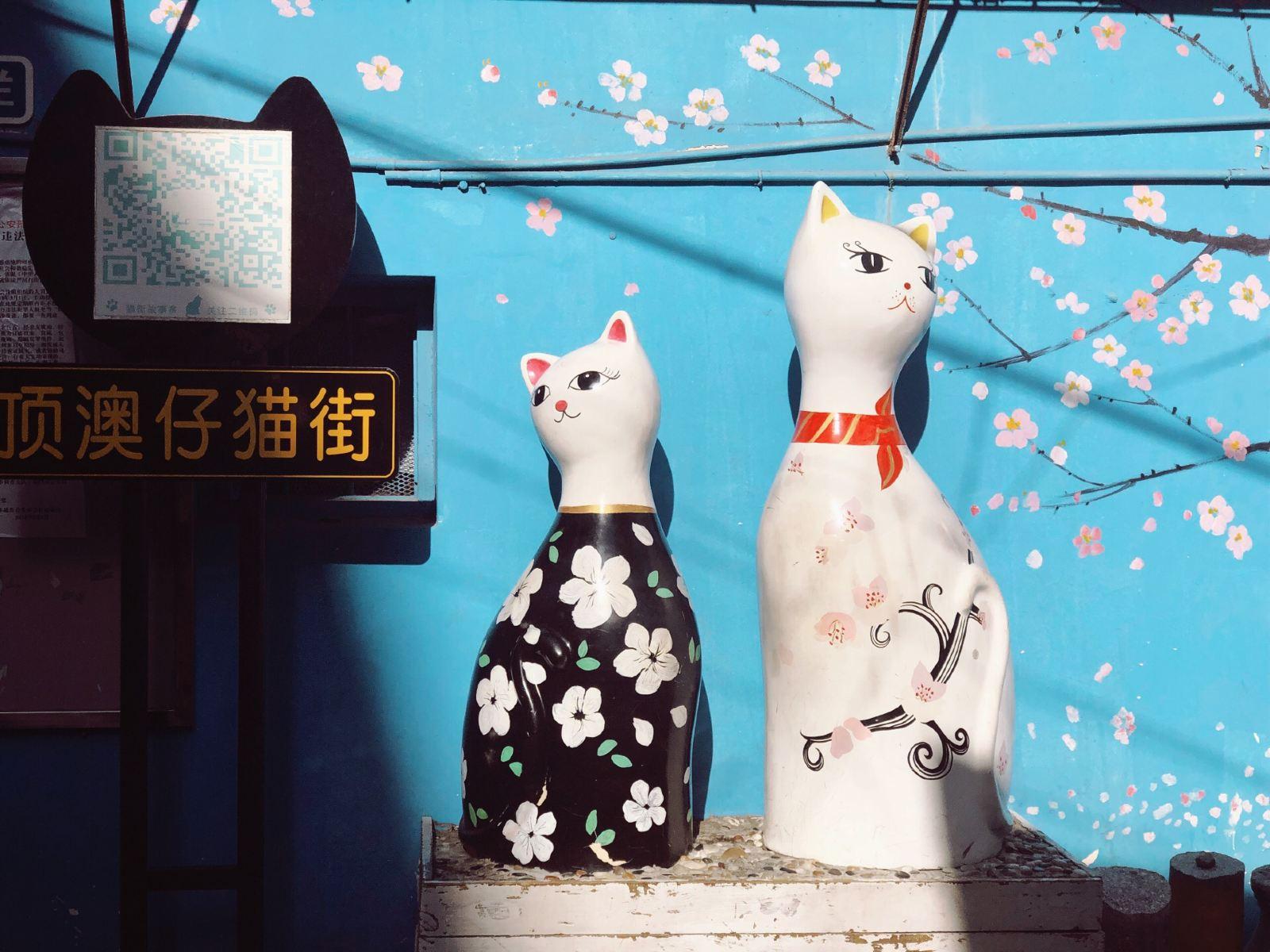 顶澳仔猫街