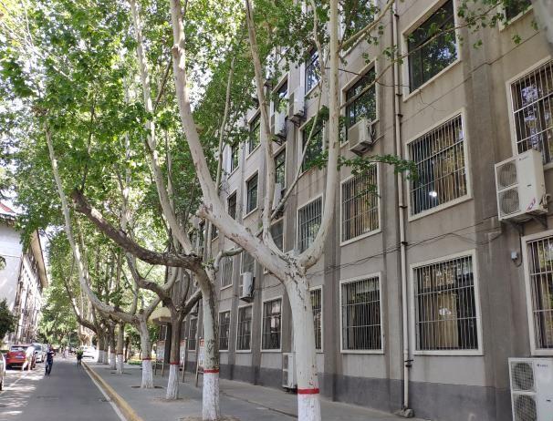 西北大学博物馆