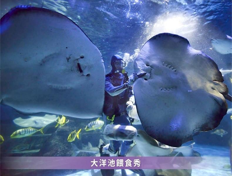 远雄海洋公园