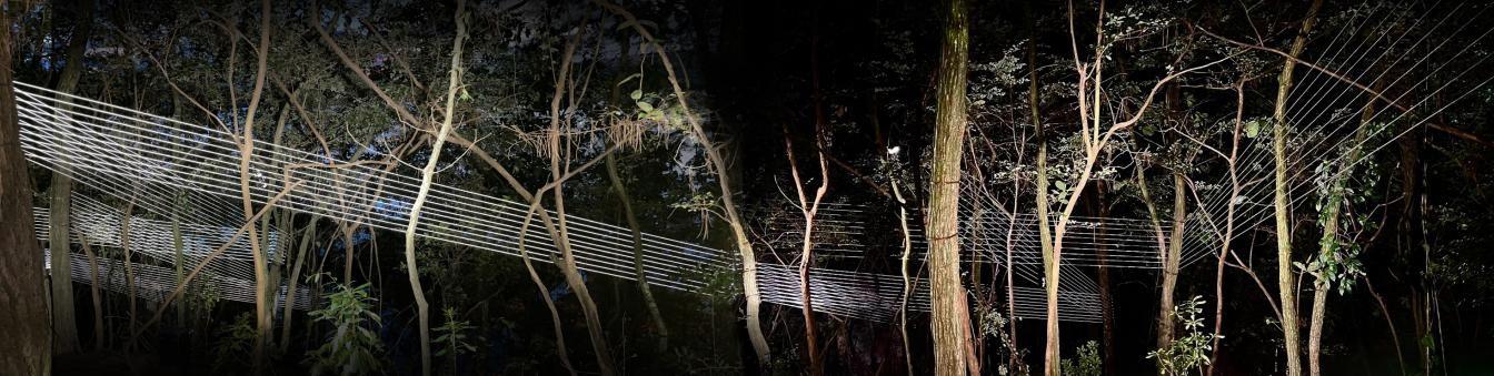 千岛湖“月光之恋”光影艺术夜游