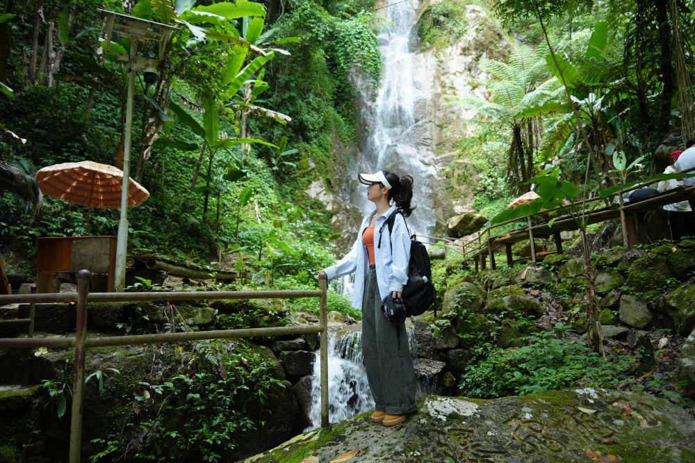 腾冲樱花谷森林温泉景区