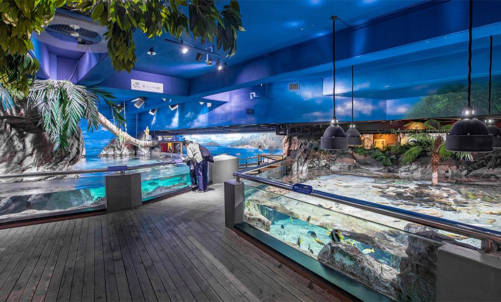 Sea Life COEX水族馆