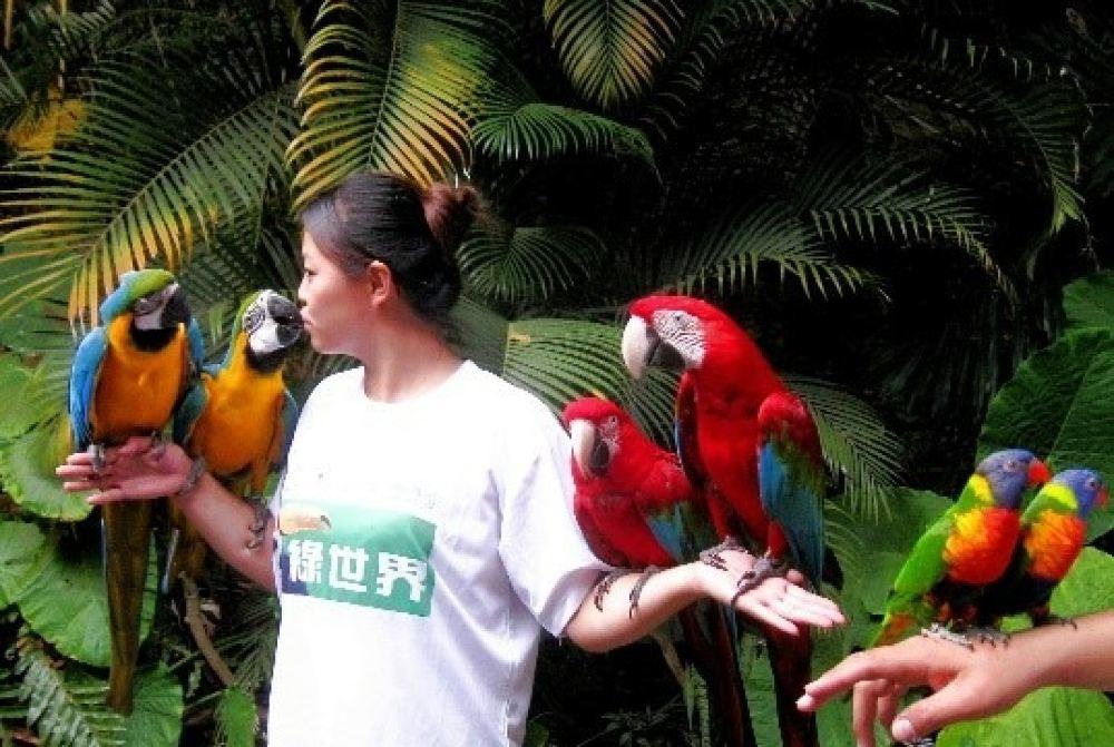 绿世界生态农场