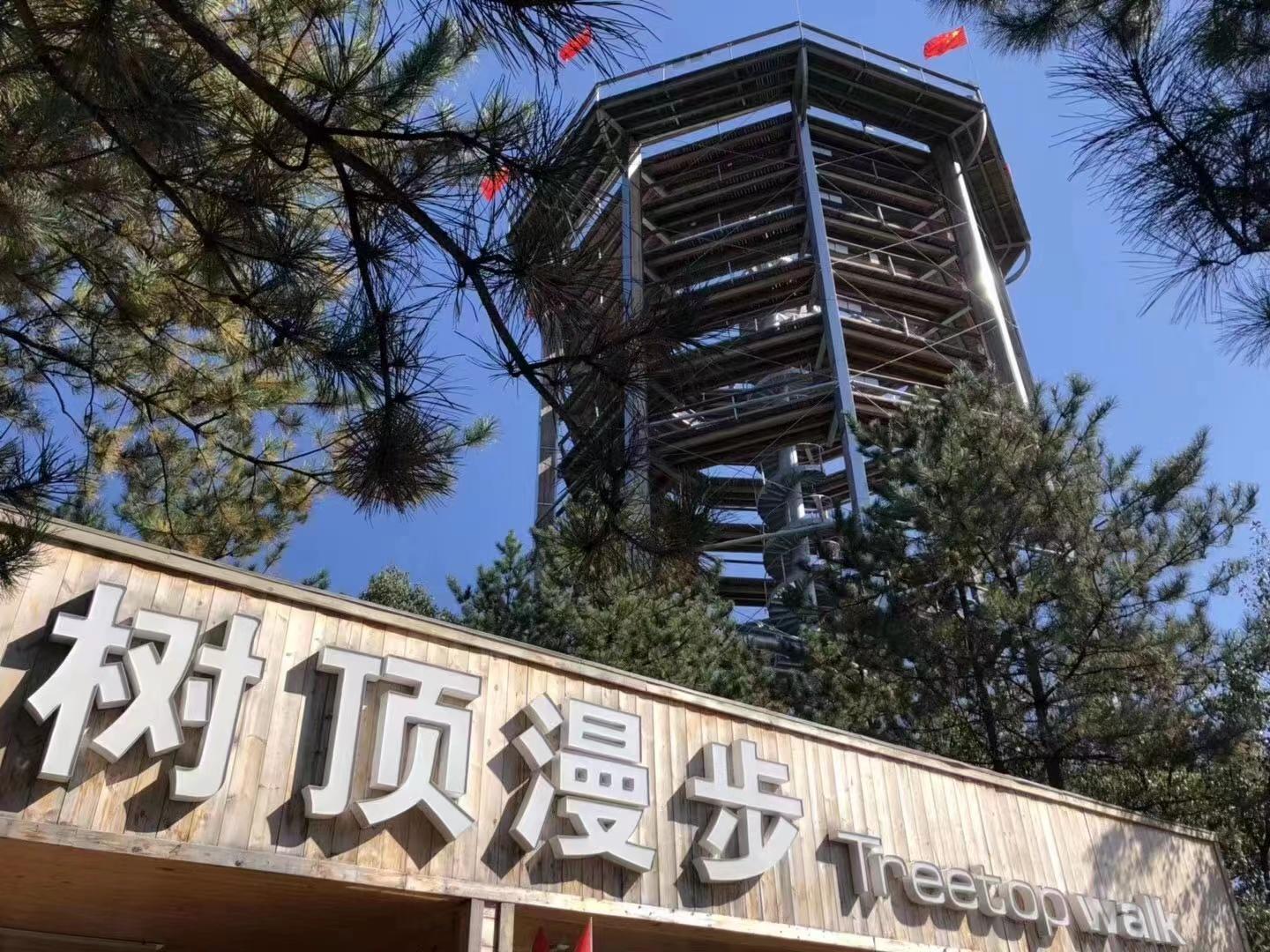 树顶漫步