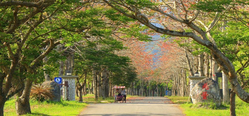 新光兆丰休闲农场