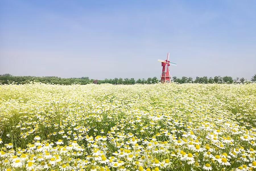 聊城芳香文化博览园