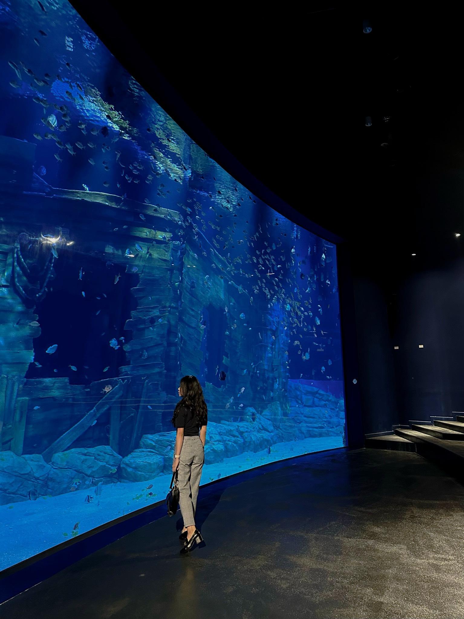 河内乐天世界水族馆