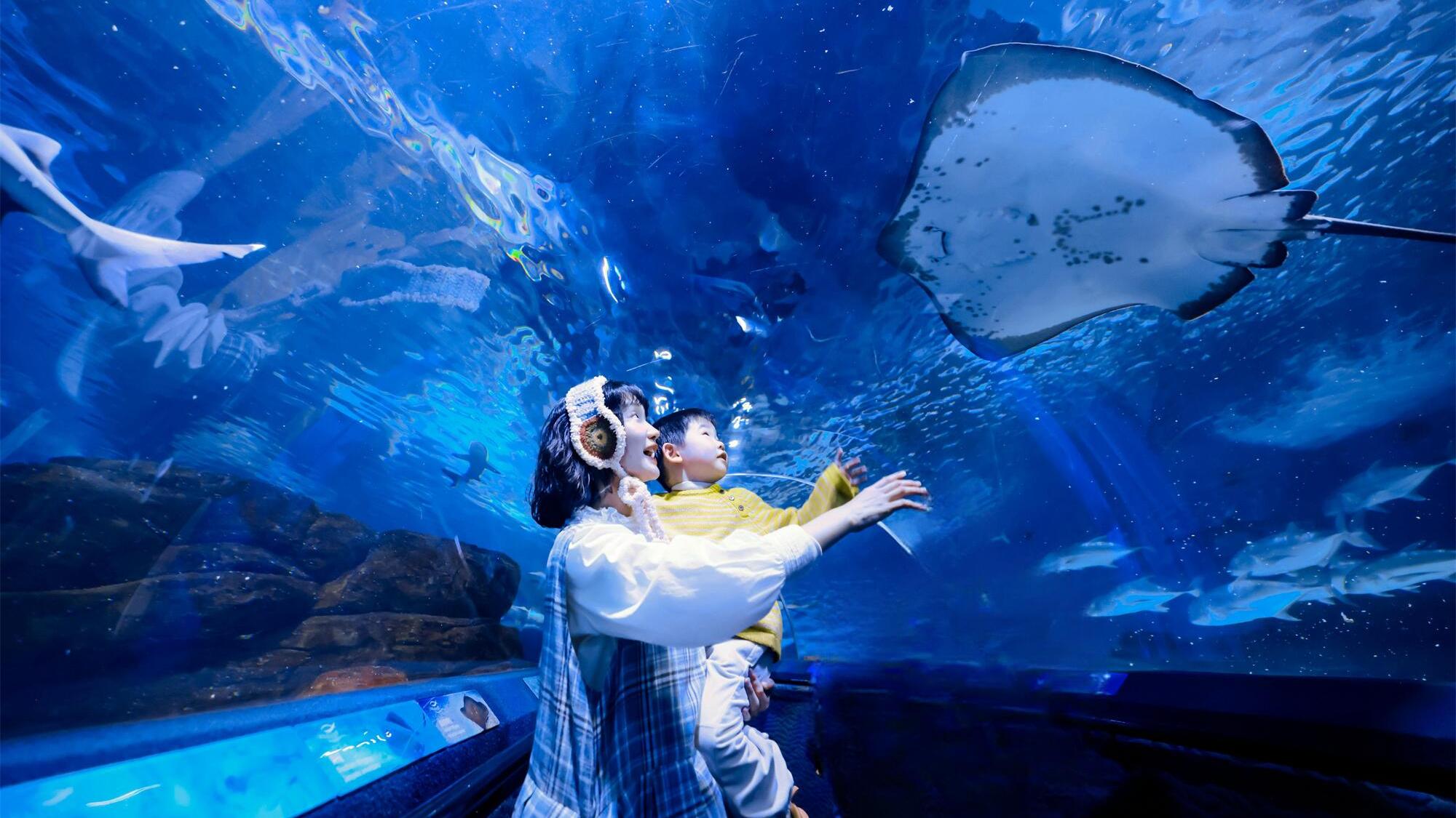 上海海洋水族馆