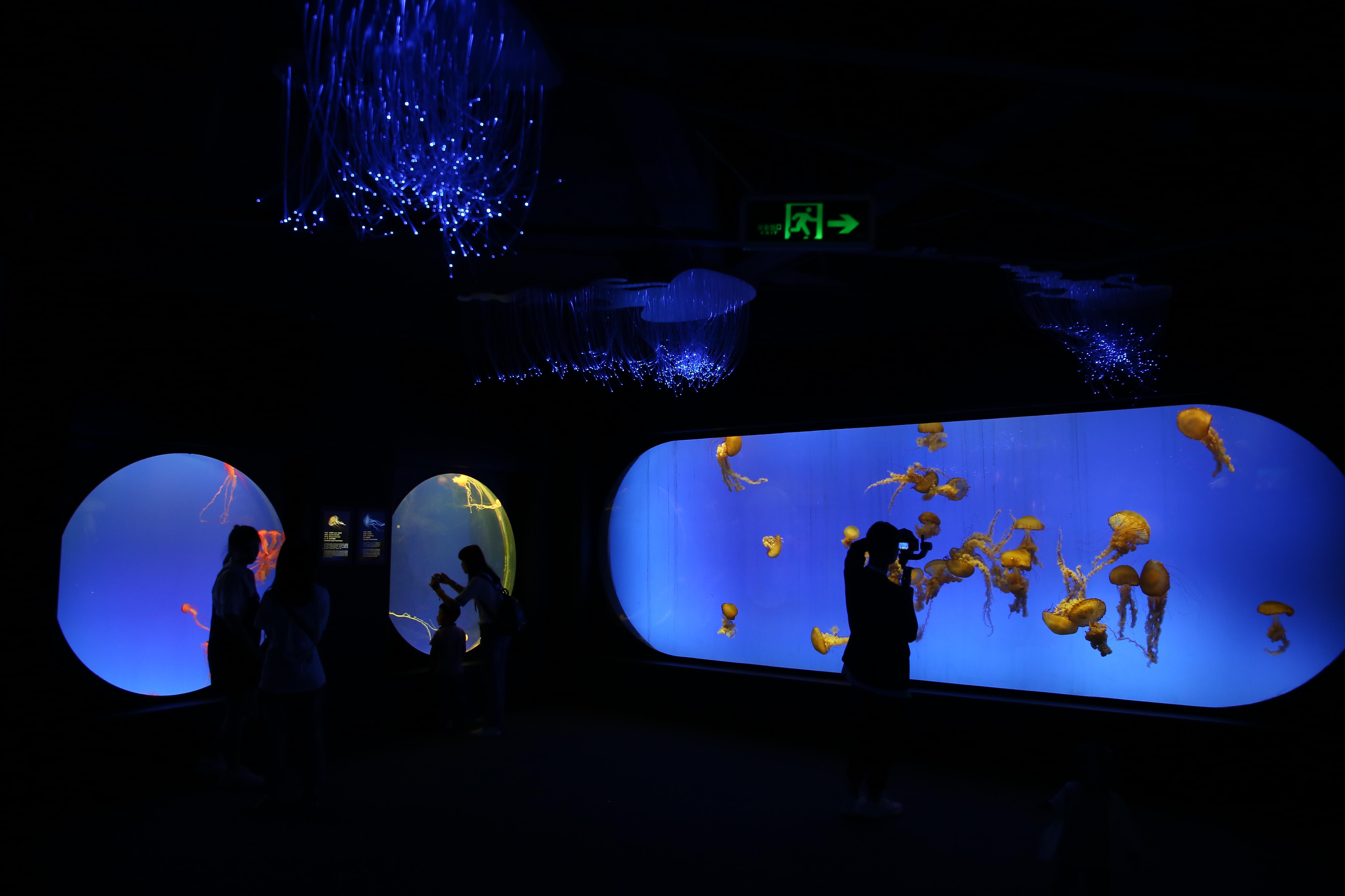 上海海洋水族馆