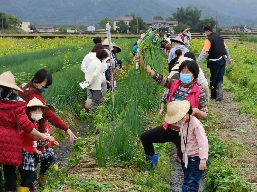 葱宝宝体验农场