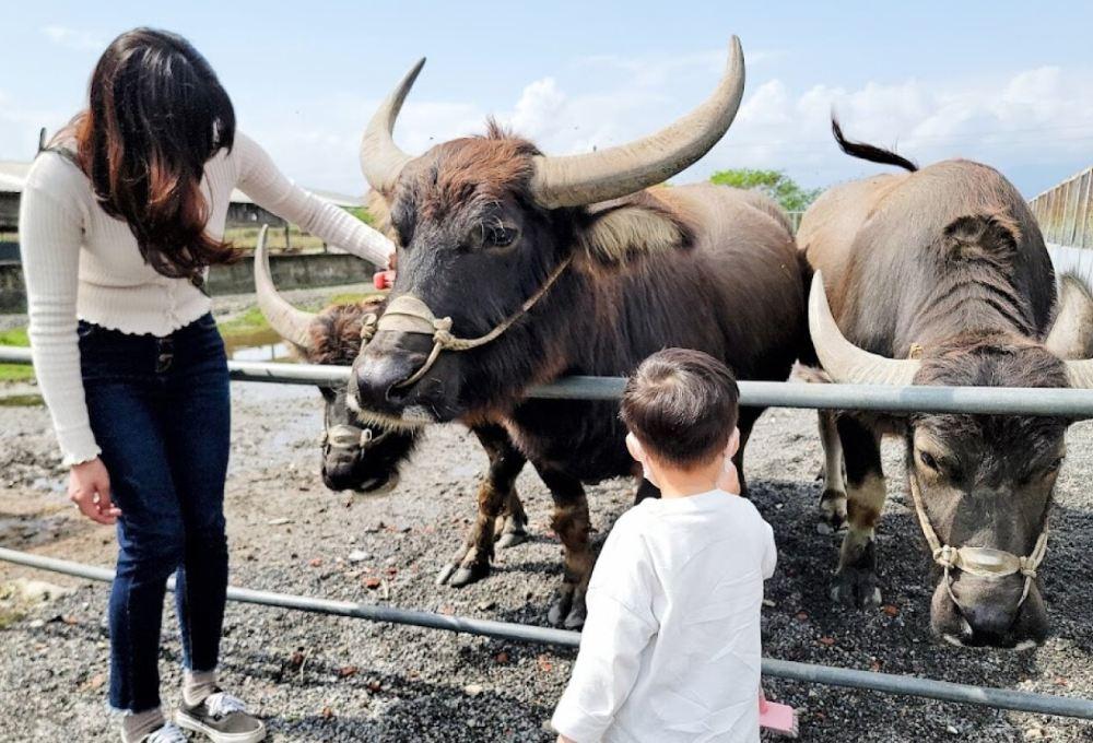 牛头司体验农场