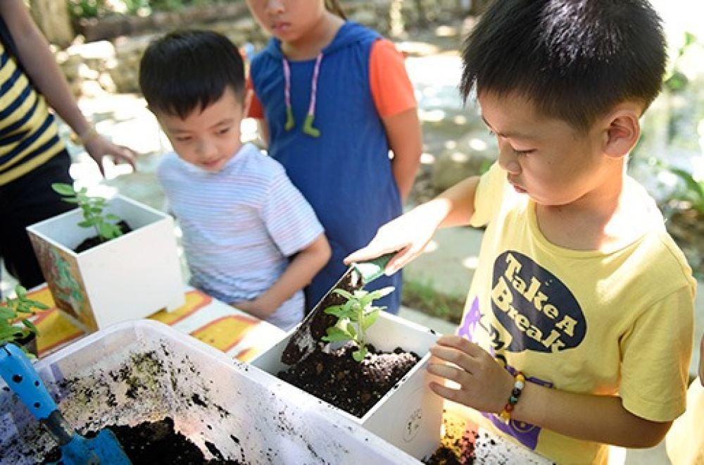 阿信巧克力农场