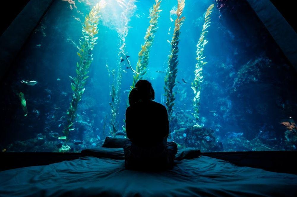 台湾海洋生物博物馆