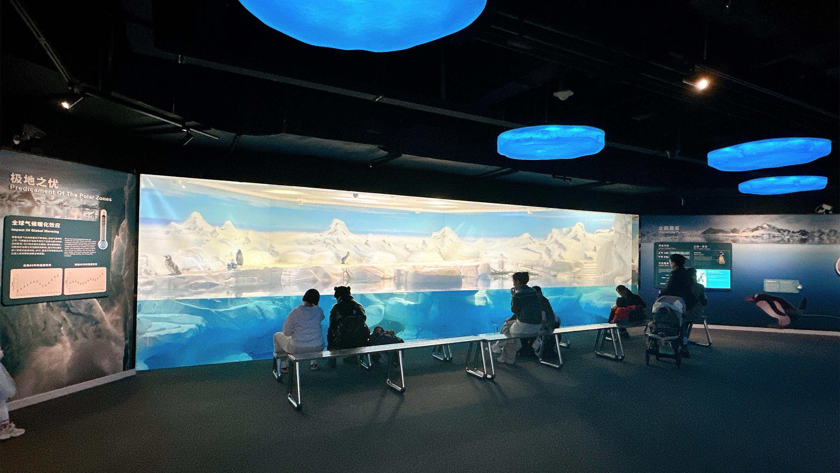 上海海洋水族馆