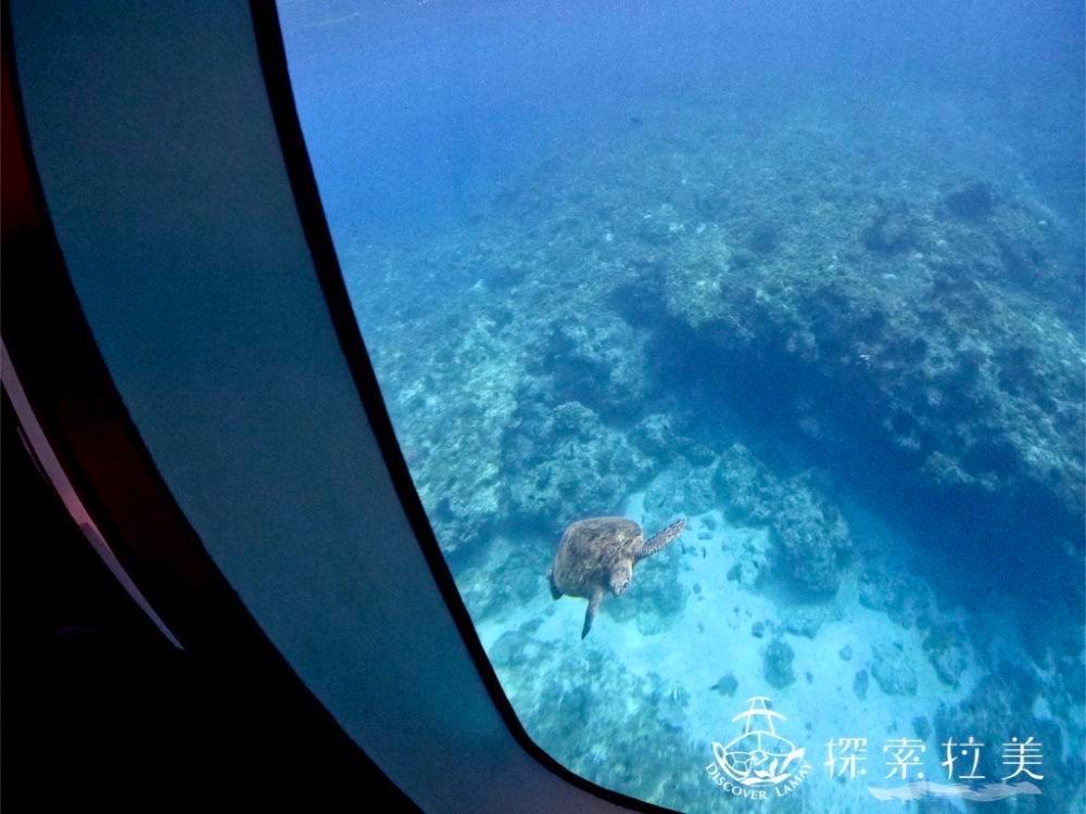 探索拉美 玻璃船半潜艇