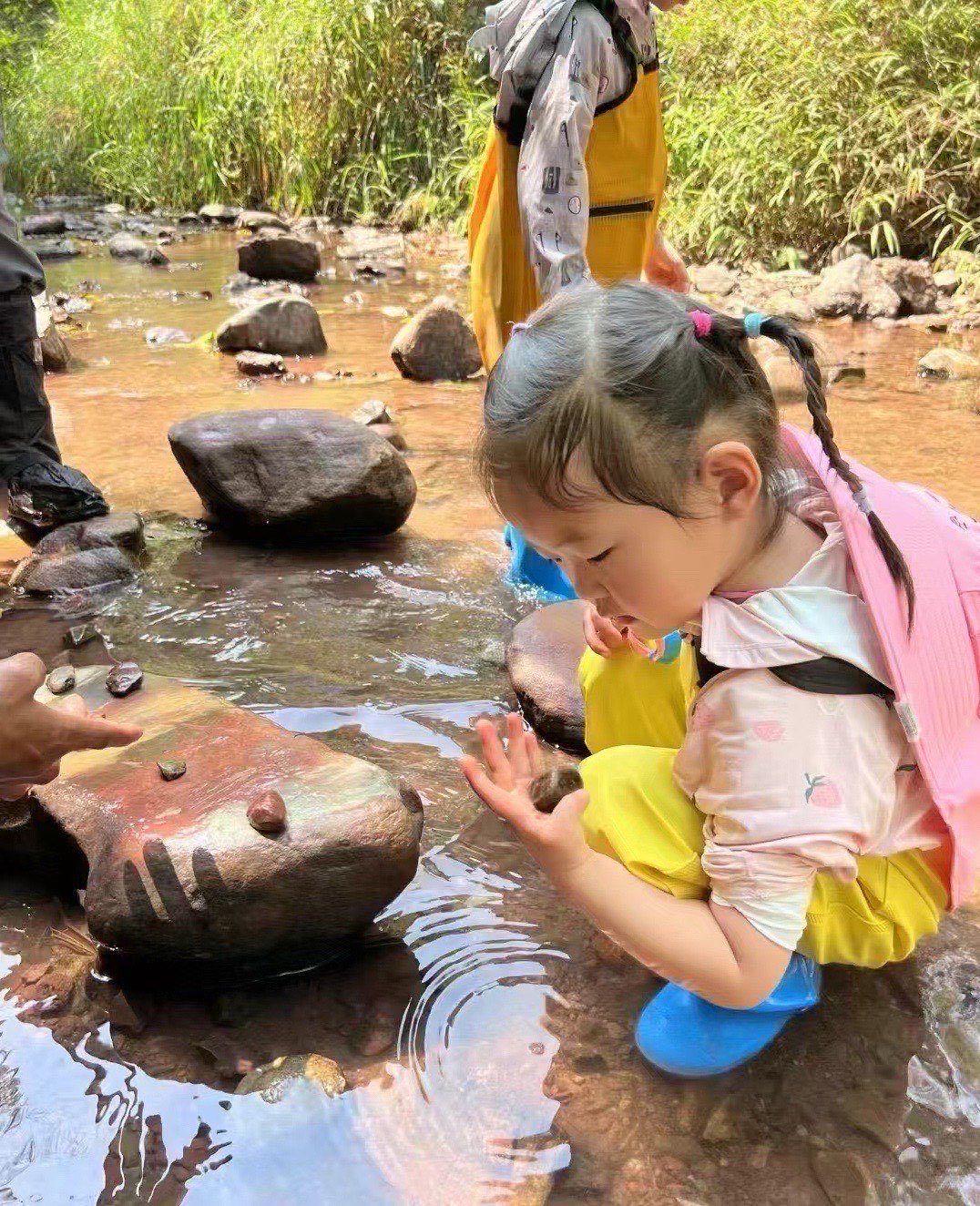 基诺山巴朵村雨林徒步