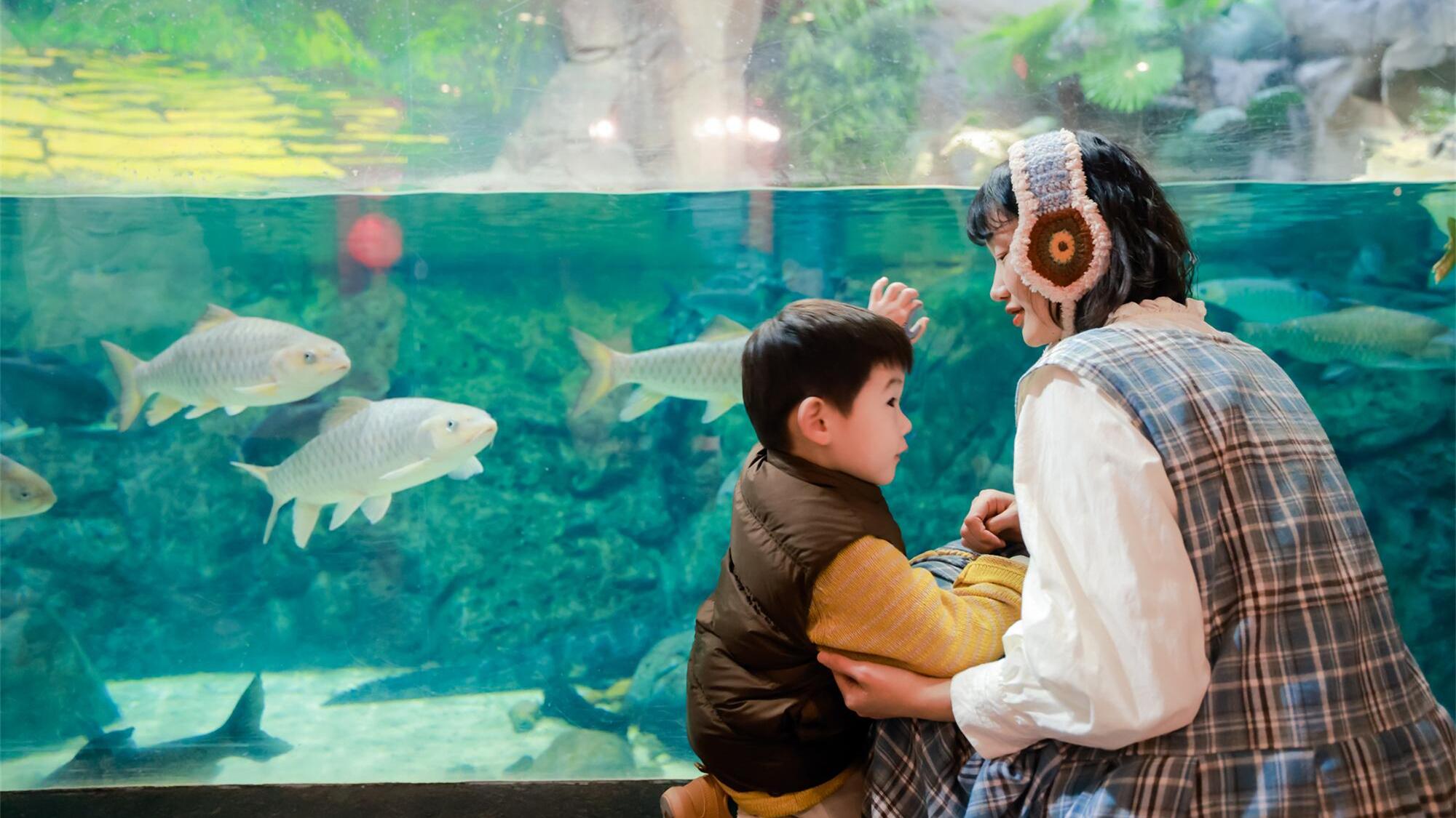 上海海洋水族馆
