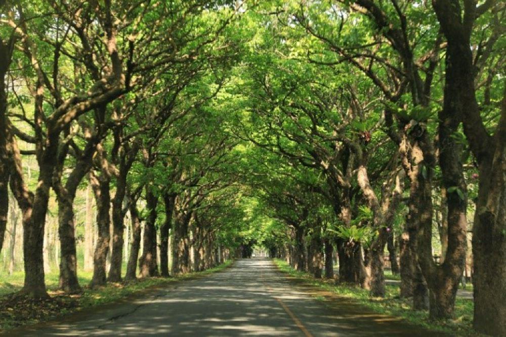 新光兆丰休闲农场