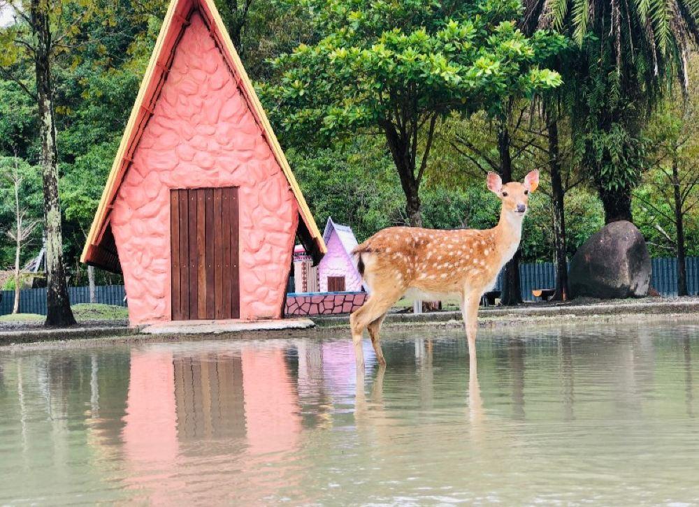 长埤湖-水行侠主题乐园