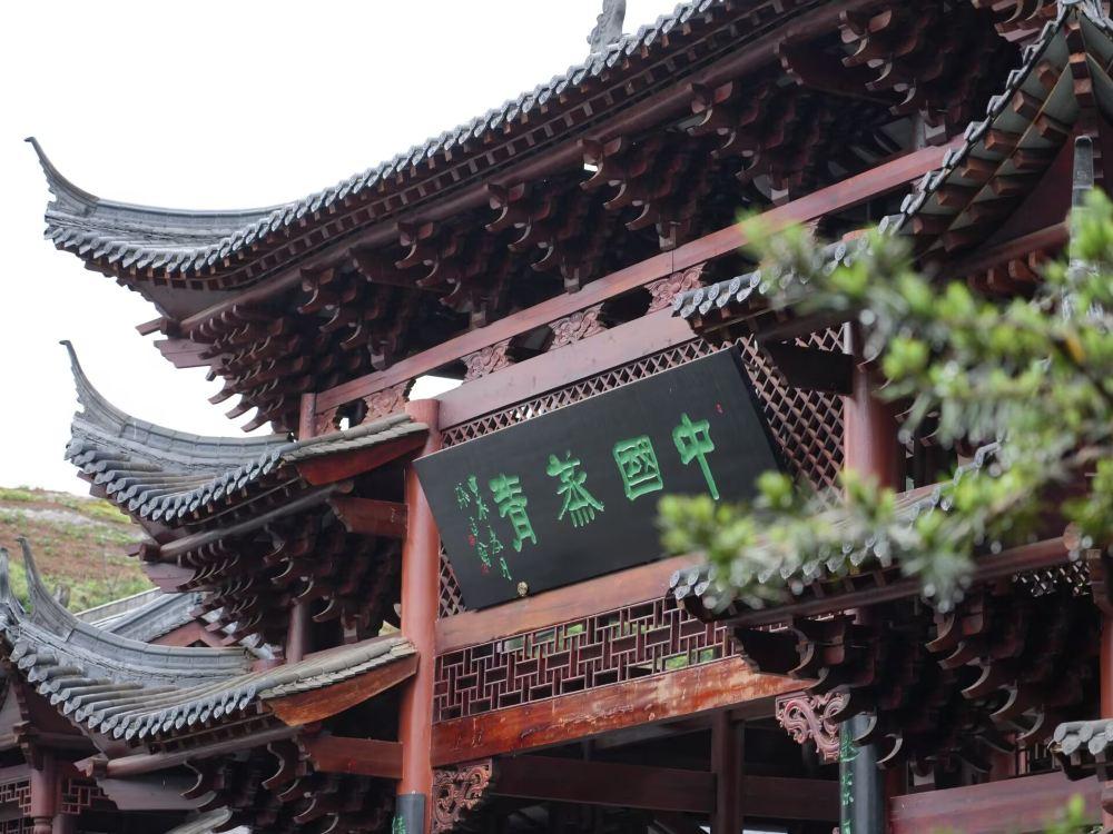 恩施玉露博物馆