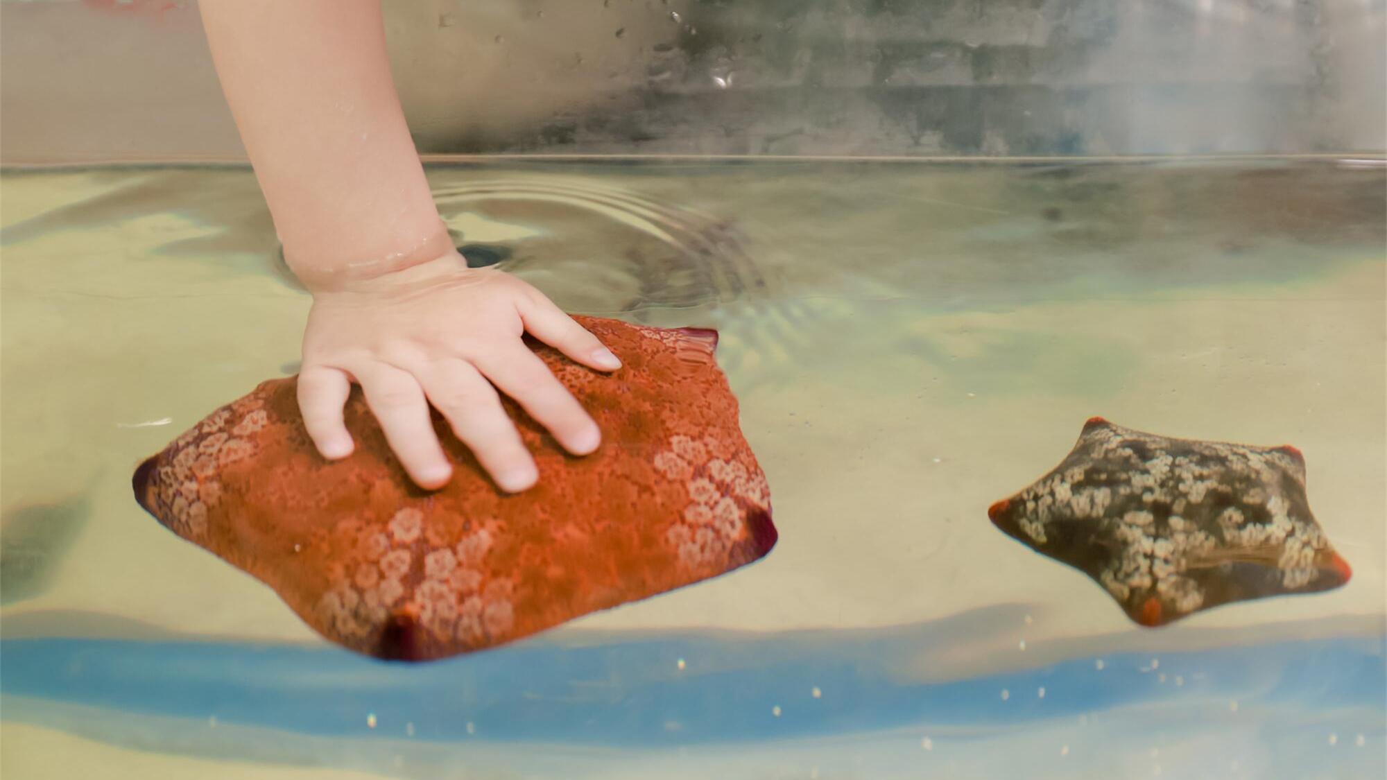上海海洋水族馆