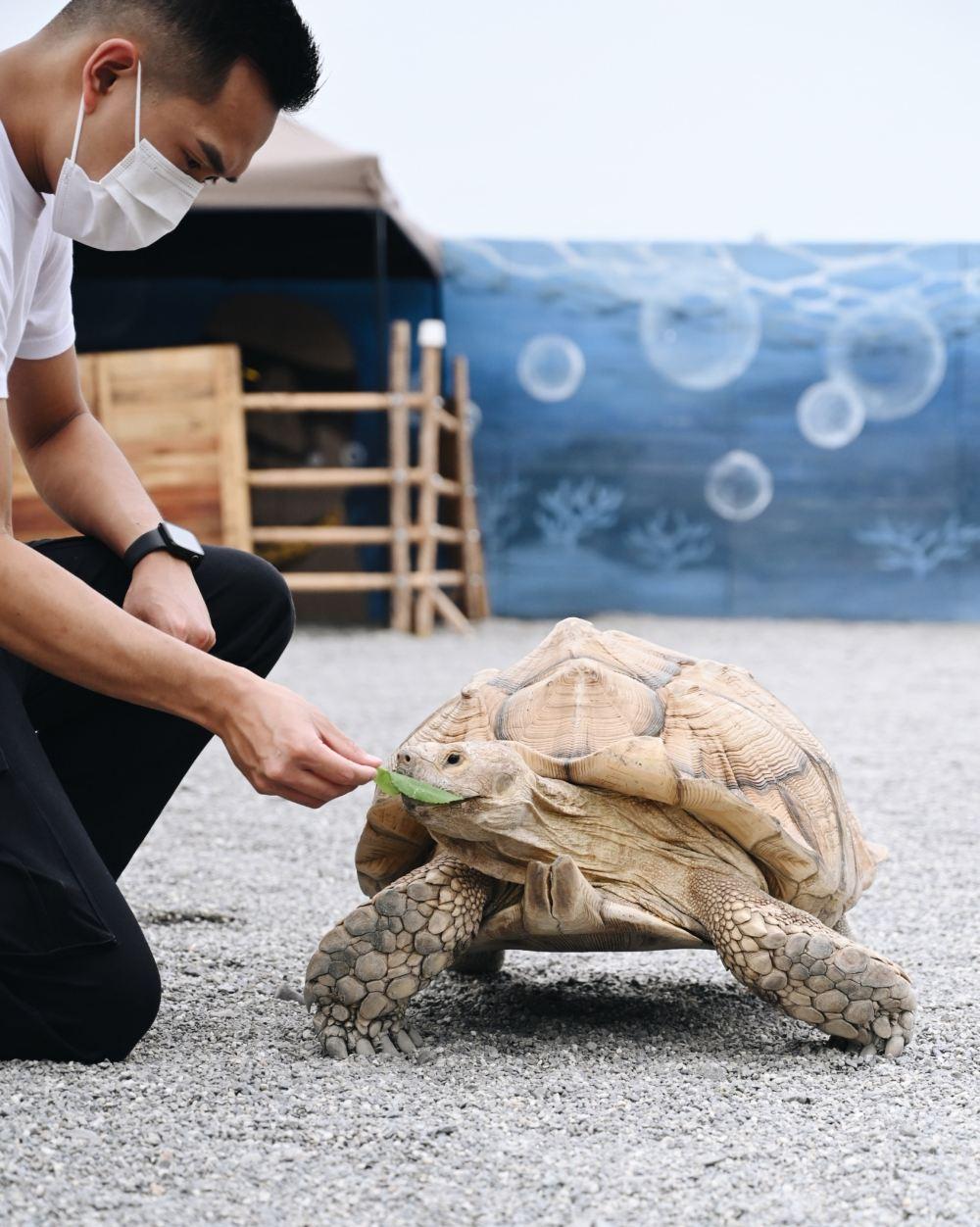 回巢 Homing 荒野沙漠农场园区