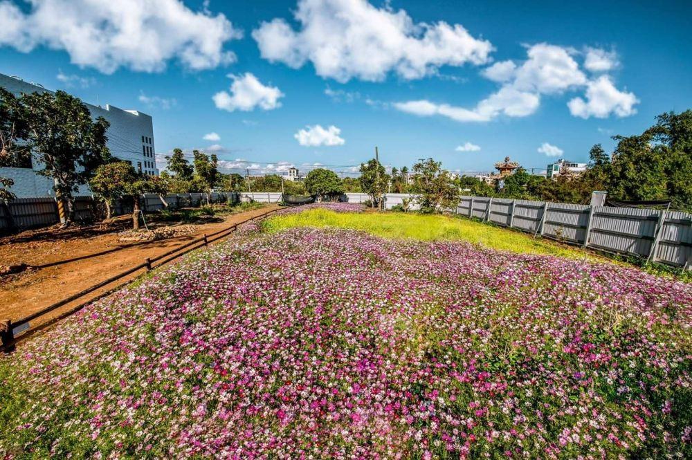 鹿粼梅花鹿园区