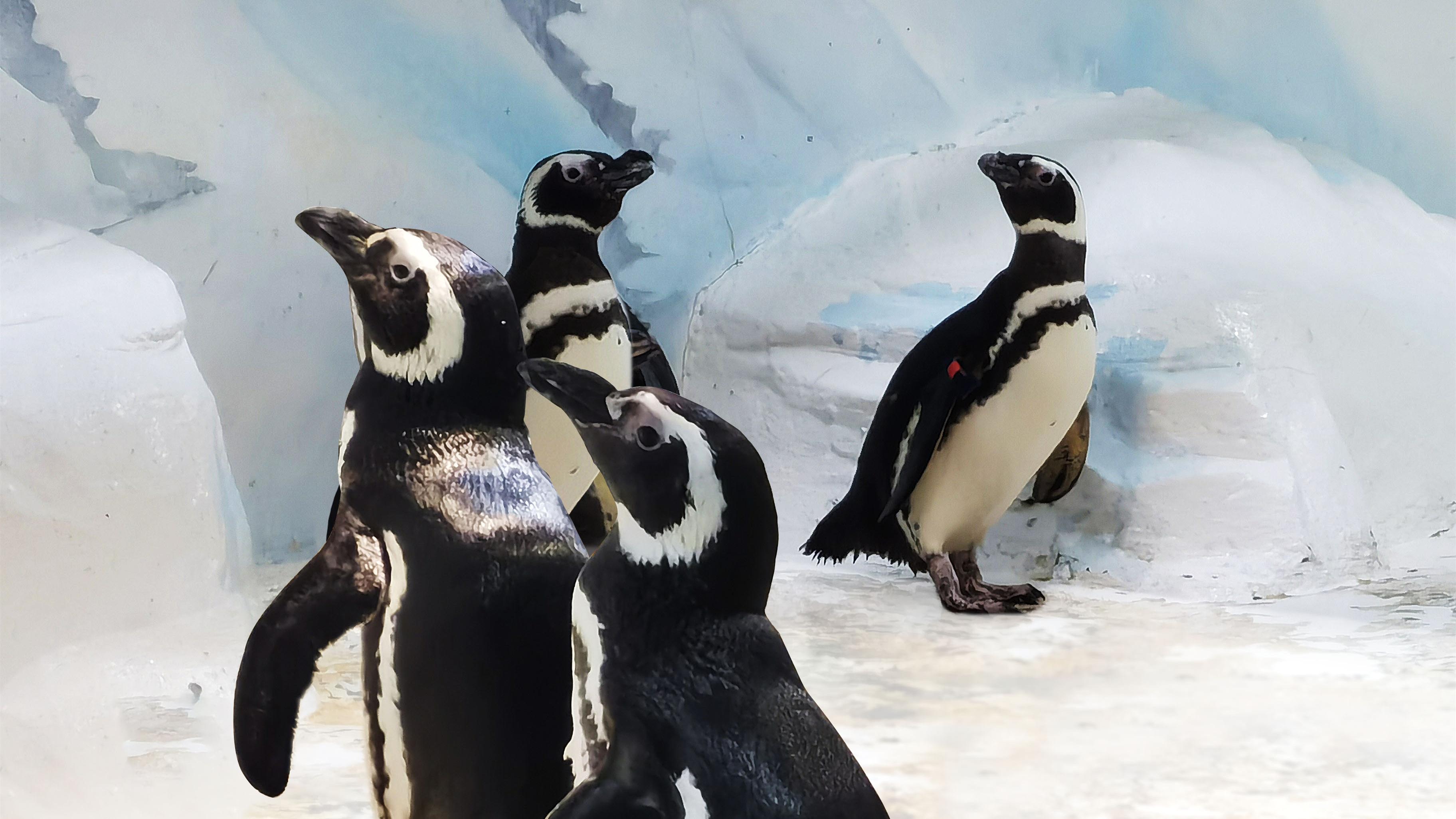 上海海洋水族馆