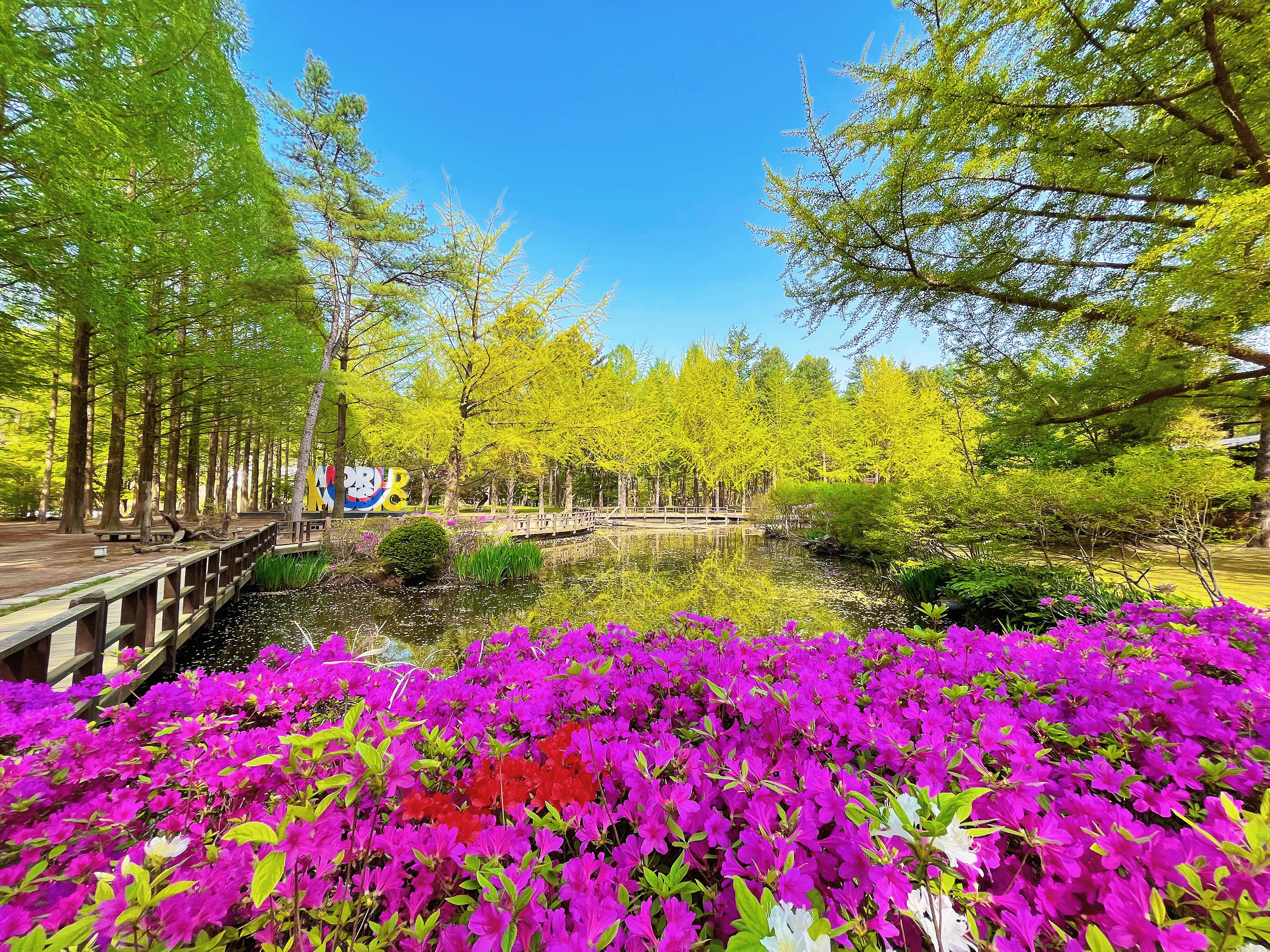 南怡岛