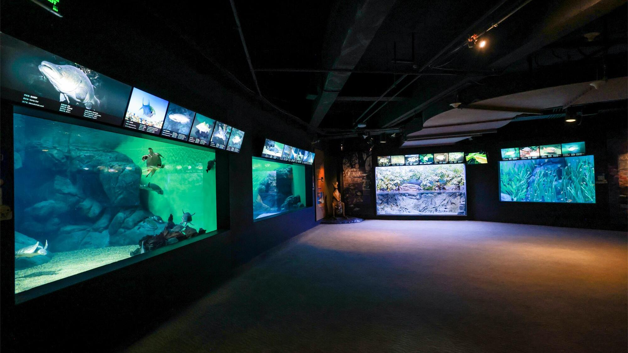 上海海洋水族馆