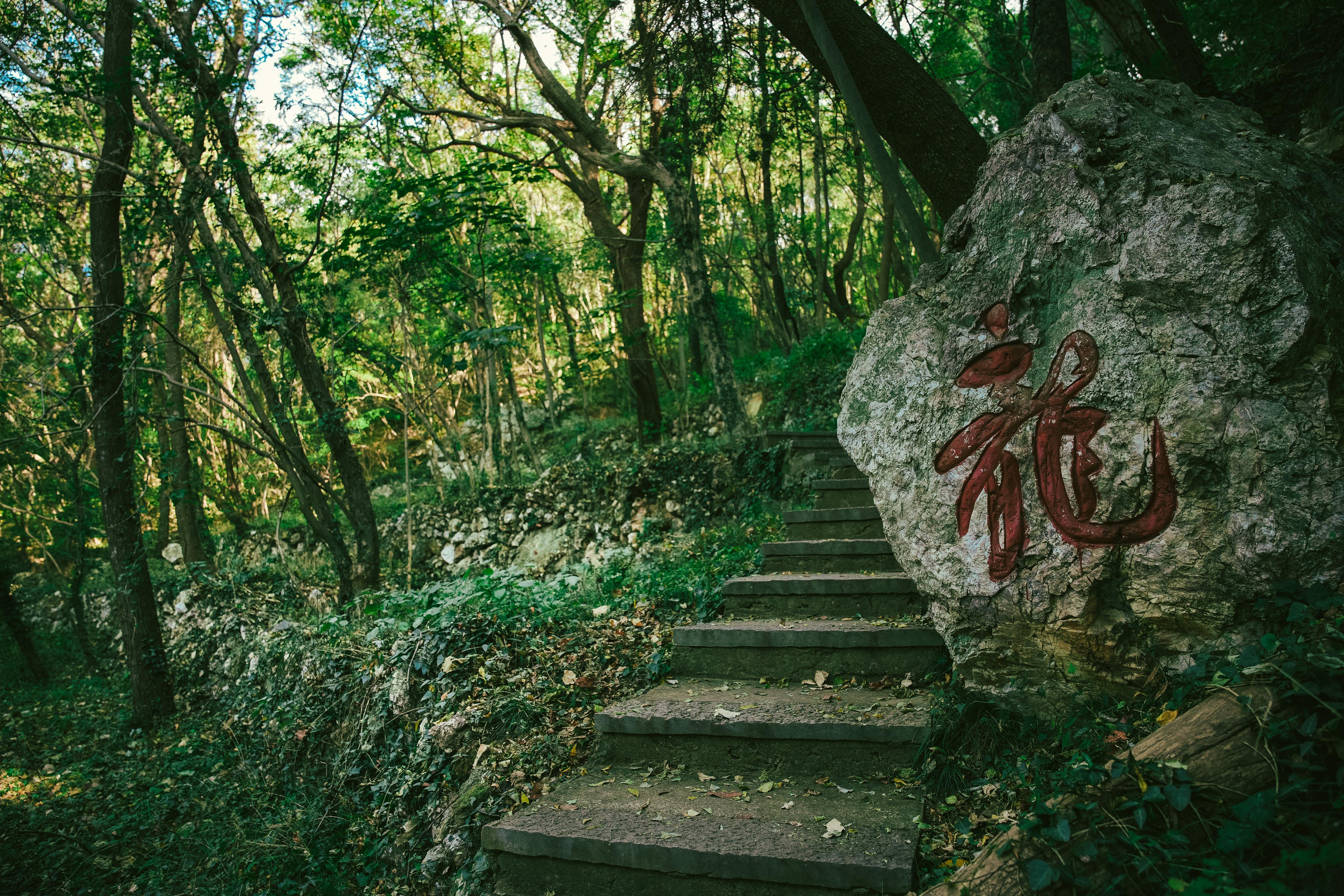 绿林寨景区