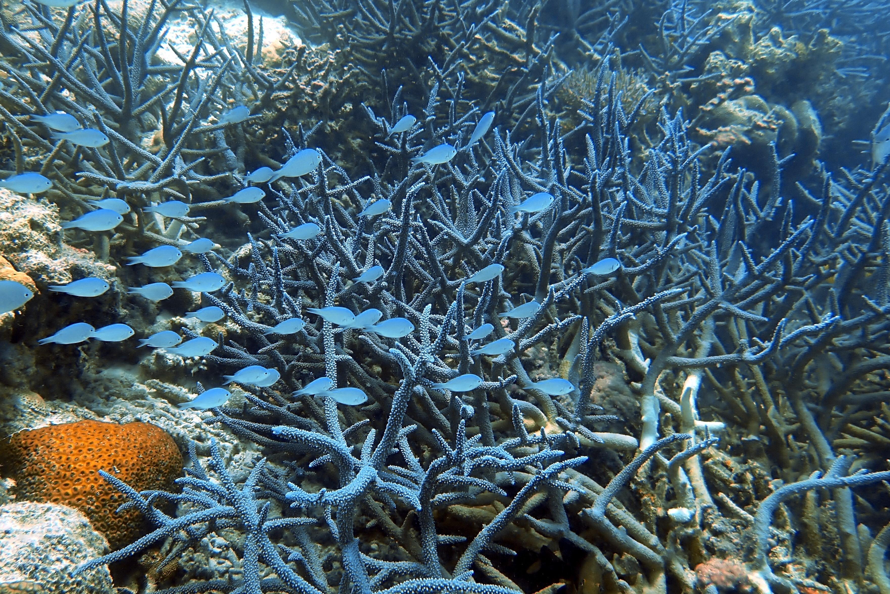 涠洲岛南湾海洋运动公园