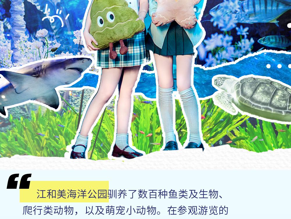 江和美海洋公园
